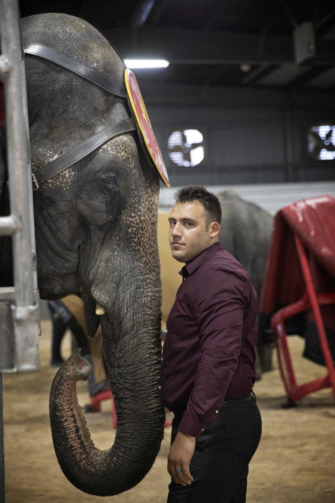 Al Amin Shrine Circus